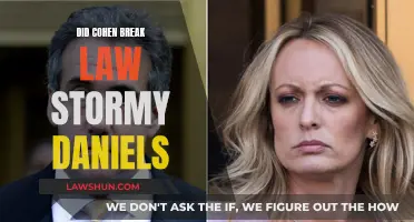 Did Cohen Break the Law with Stormy Daniels?