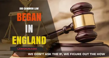The Roots of Common Law in England