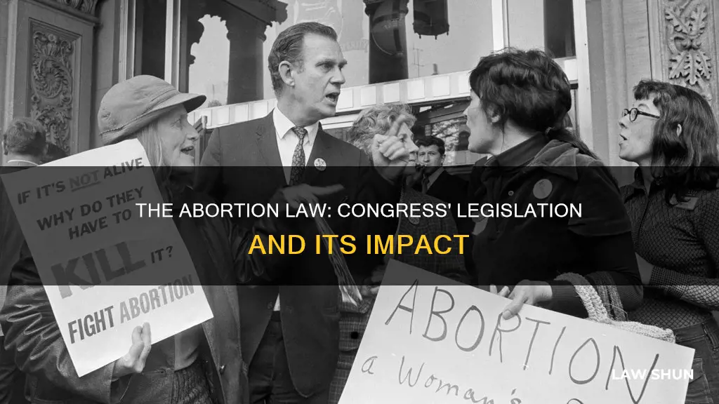 did congress write a law on abortion