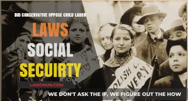 Conservative Resistance to Child Labor Laws and Social Security Reforms