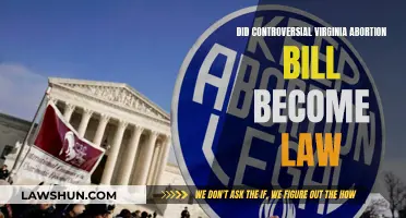 Virginia Abortion Bill: Law or Controversy?