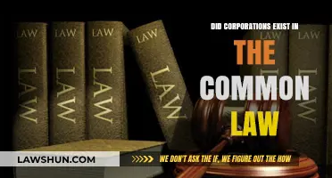 How Common Law Shaped Corporate Existence