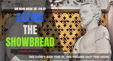 Did David Sin by Eating the Showbread?