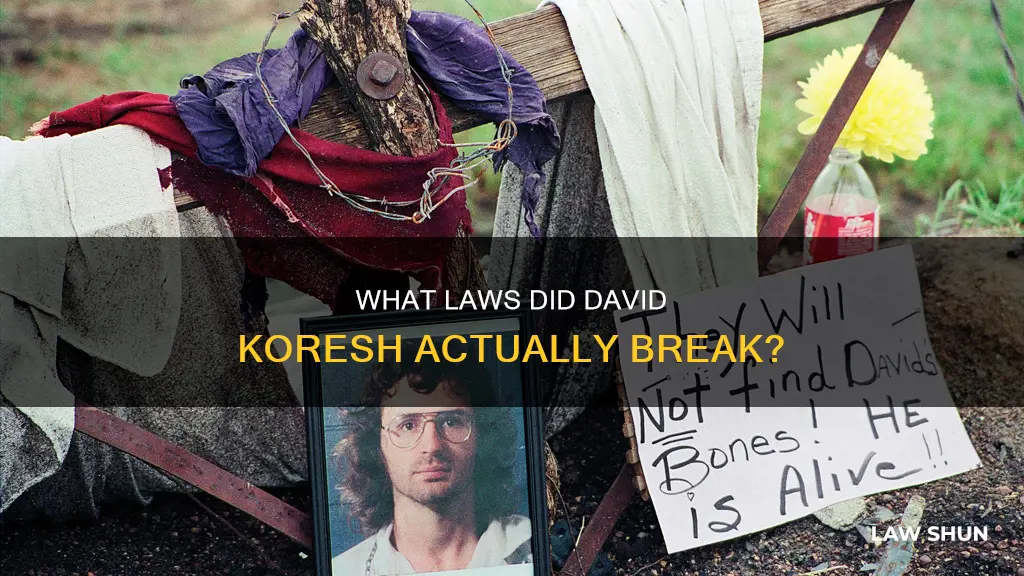 did david koresh break any laws