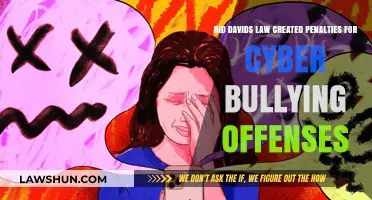 Texas' David's Law: Cyberbullying Penalties and Protections