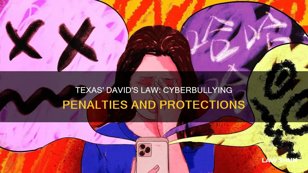 did davids law created penalties for cyber bullying offenses