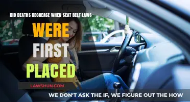 Seat Belt Laws: Did They Save Lives?