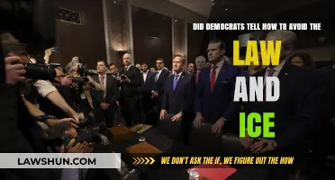 Did Democrats Advise Immigrants on Avoiding ICE and Legal Loopholes?