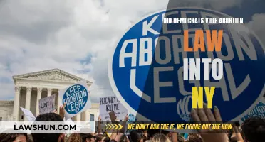 Democrats' Abortion Law: Did New York Democrats Vote?