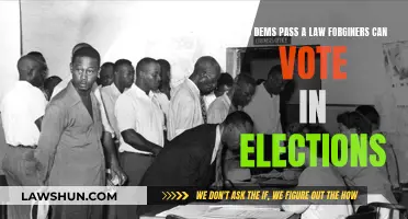 Can Foreigners Vote? Democrats' New Law Explained