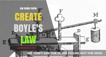 Denis Papin: The True Creator of Boyle's Law?