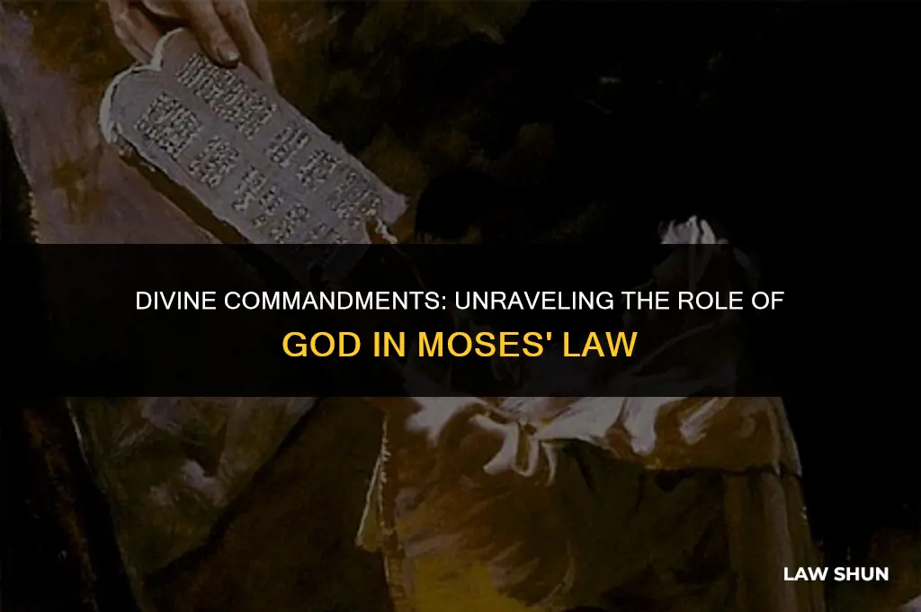 did did god in moses law