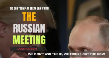 Trump Jr.'s Russian Meeting: Legal or Not?