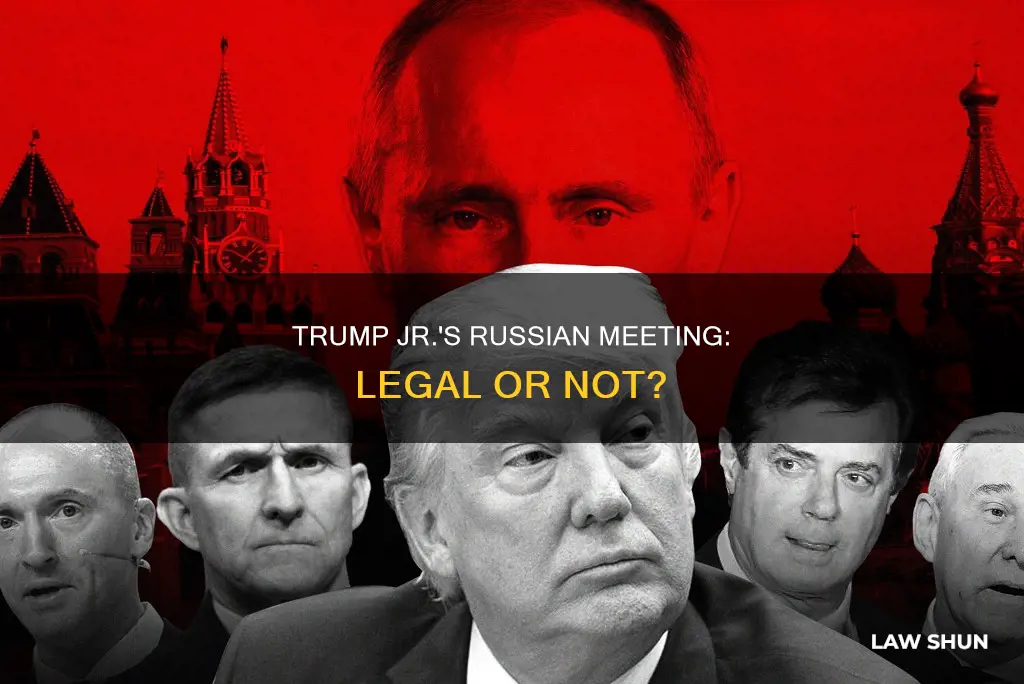 did don trump jr break laws with the russian meeting