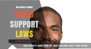 Trump's Impact: Child Support Laws Under His Presidency Explored
