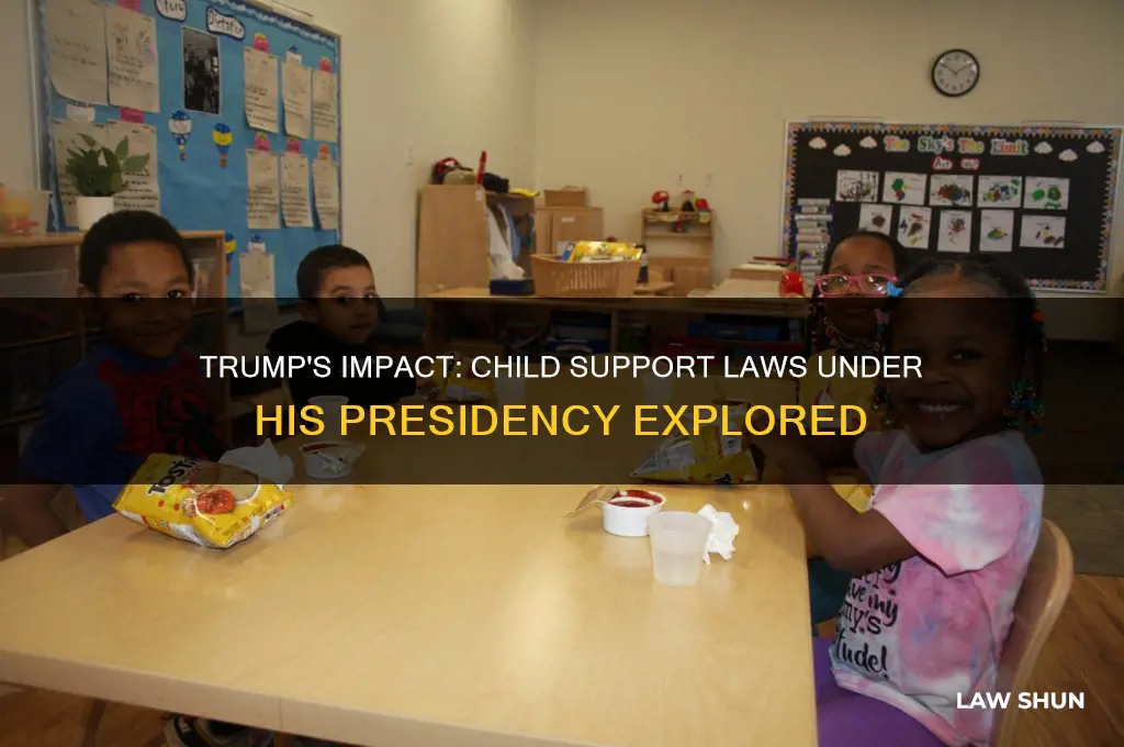 did donald trump child support laws