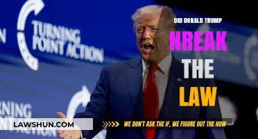 Did Donald Trump Break the Law? A Legal Analysis