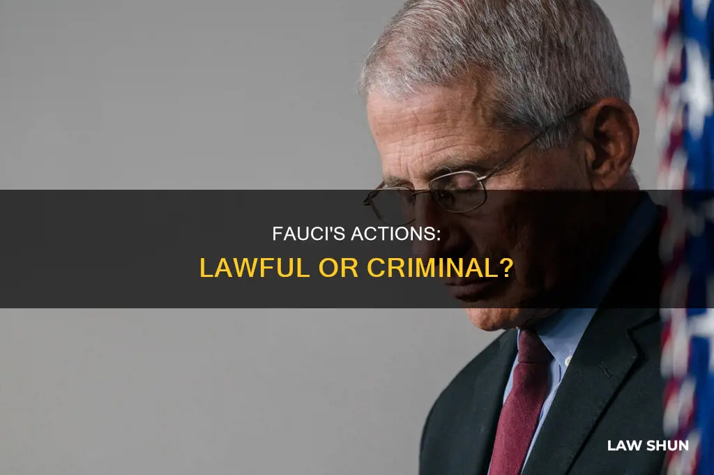 did dr fauci break the law