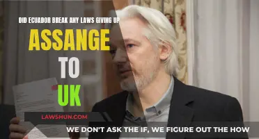 Ecuador's Assange Extradition: Legal or Not?