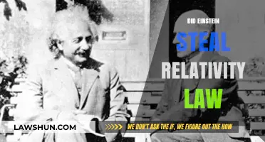 Did Einstein Steal Relativity? Unraveling the Origins of a Scientific Revolution