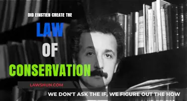 Einstein and the Law of Conservation: A Myth?