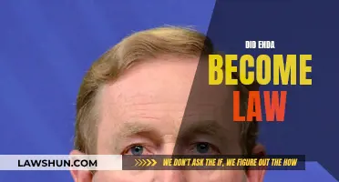 Enda's Law: Did It Pass?