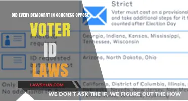 Did Every Democrat in Congress Oppose Voter ID Laws?