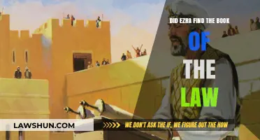 Did Ezra Discover the Lost Book of the Law?