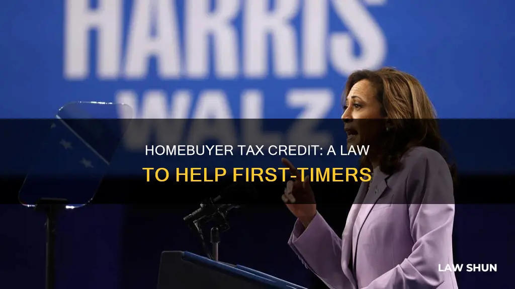 did first time homebuyer tax credit become law