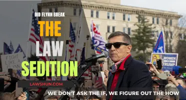 Flynn's Actions: Sedition or Lawful?