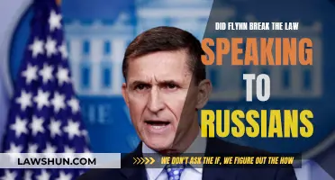 Flynn's Russian Conversations: Illegal or Innocent?