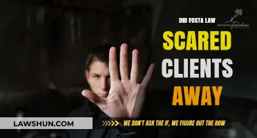 Did FOSTA Law Scare Clients Away: A Deep Dive into the Impact