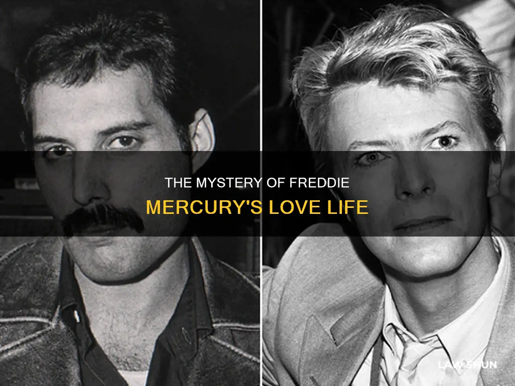 did freddie mercury have a common law wife