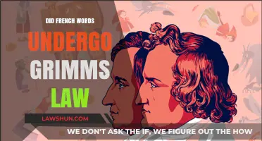 Exploring the Impact of Grimm's Law on French Vocabulary Evolution