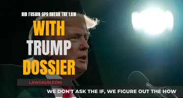 Trump Dossier: Fusion GPS and the Law