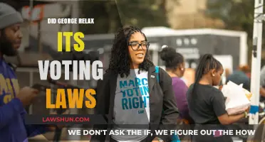 Georgia's Voting Laws: A Shift Towards Accessibility or Controversy?