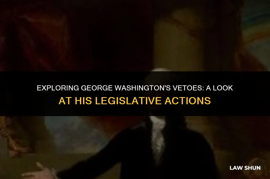 did george washington veto any laws