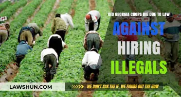 Georgia's Anti-Illegal Hiring Law: Impact on Crop Survival and Agriculture