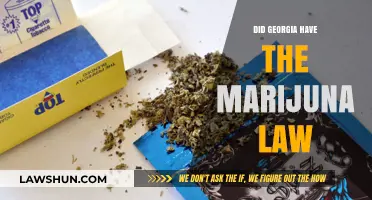 Georgia's Marijuana Law: Understanding the State's Cannabis Regulations