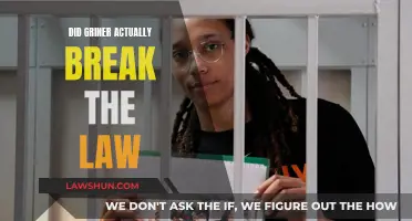 Did Griner Break the Law? Understanding Her Case