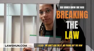 Did Griner Know She Was Breaking Russian Laws?