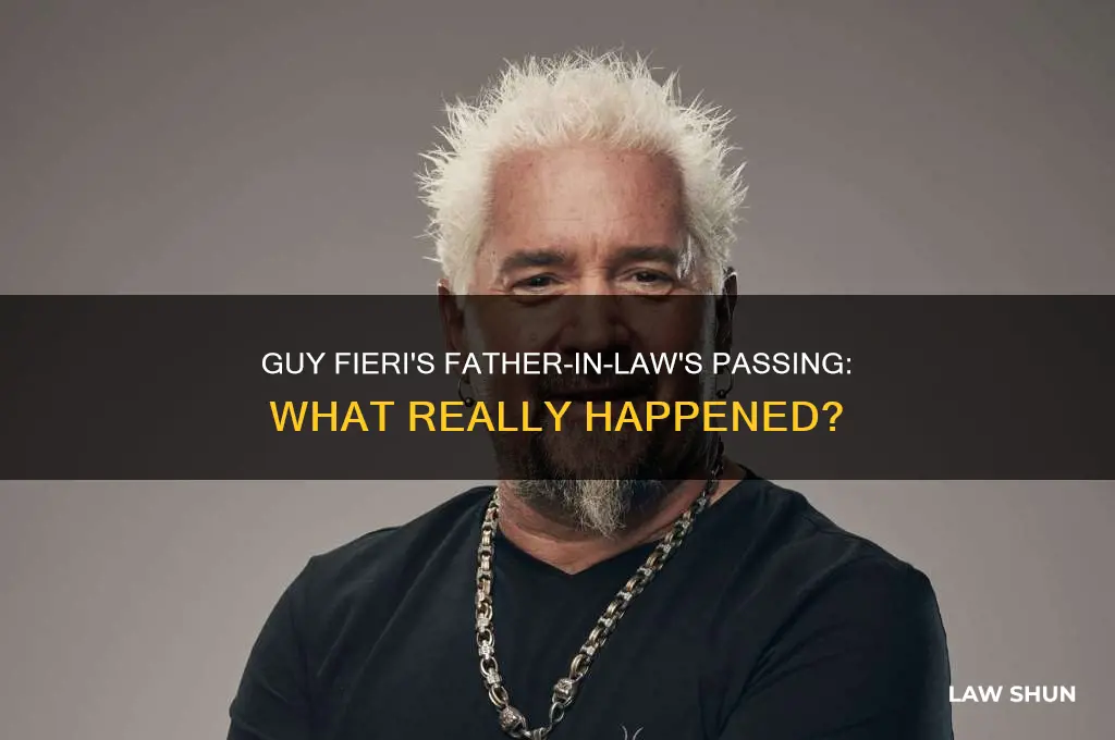 did guy fieri