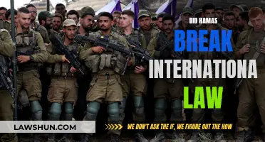 Hamas and International Law: Violators or Victims?