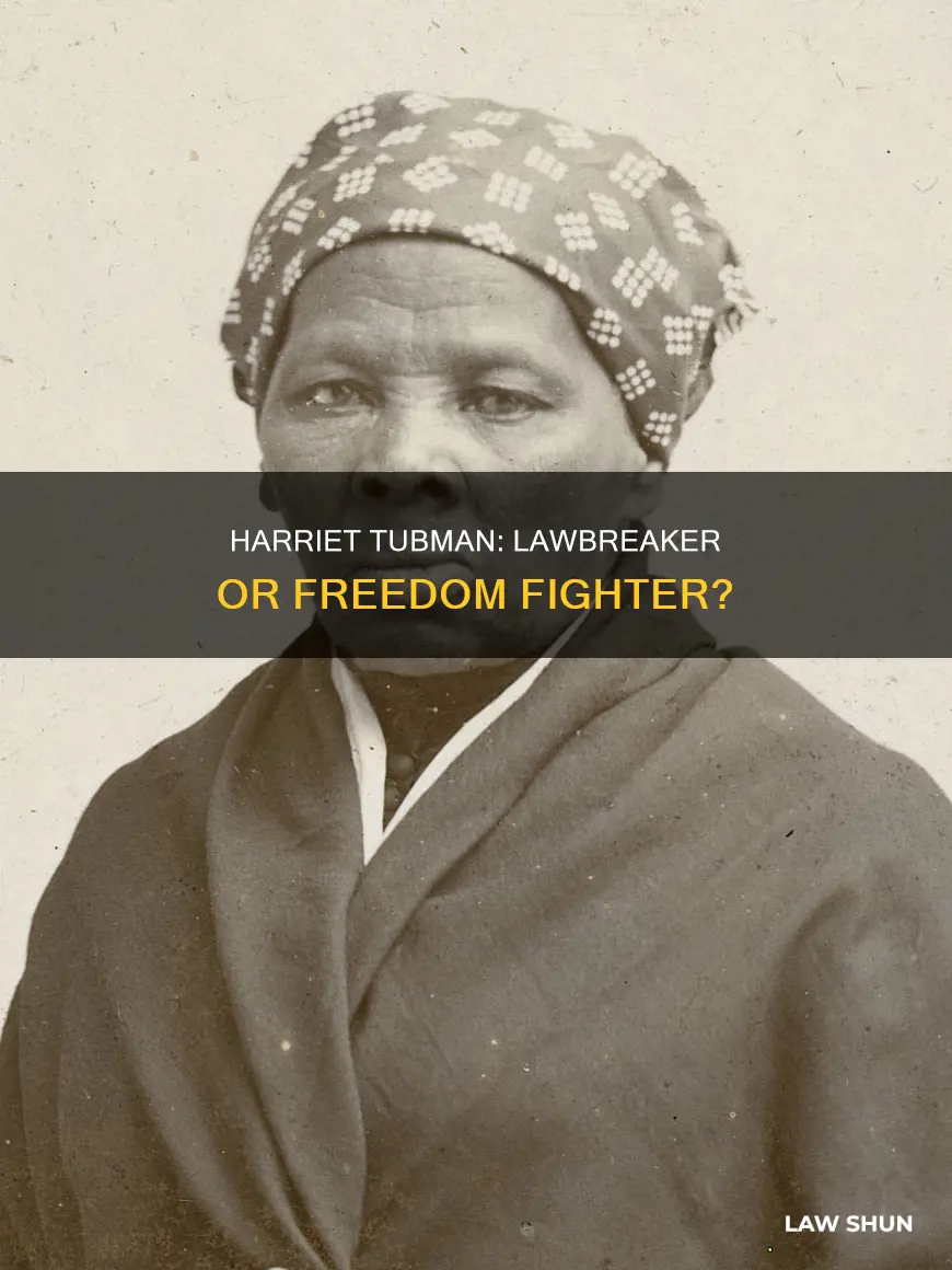 did harriet tubman break the law