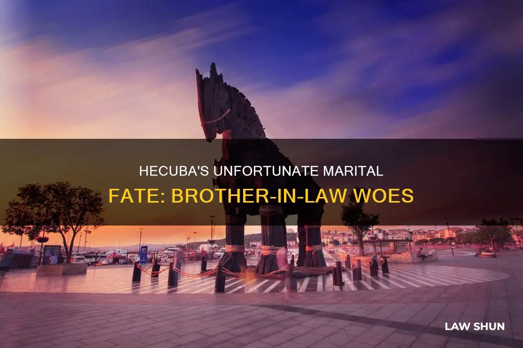 did hecuba marry her brother in law