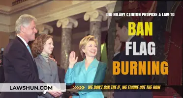 Did Hillary Clinton Propose a Flag Burning Ban Law?