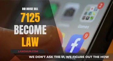 Did Florida's House Bill 7125 Become Law?