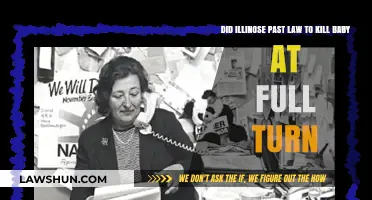 Illinois Law Controversy: Full-Term Abortion Legislation Explained