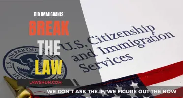 The Legal Status of Immigrants: Lawbreakers or Law Abiders?