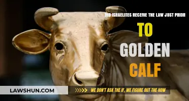 Golden Calf Incident: Did Israelites Receive the Law First?